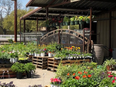 Dennis' Farm Store