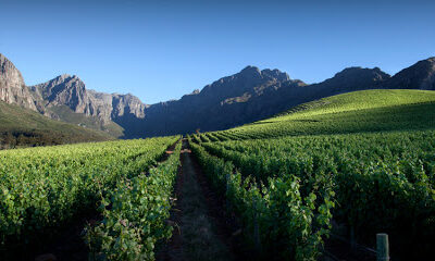 Chateau Sinnet Winery and Vineyards