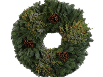 North Pole Xmas Trees