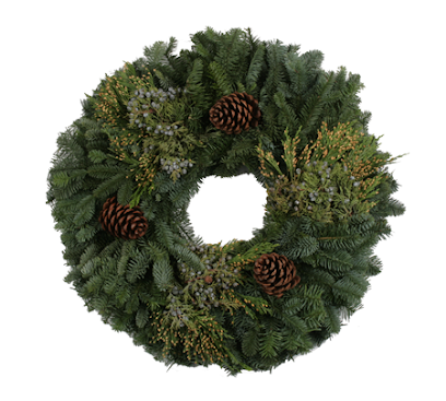North Pole Xmas Trees