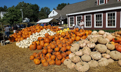 Lull Farm