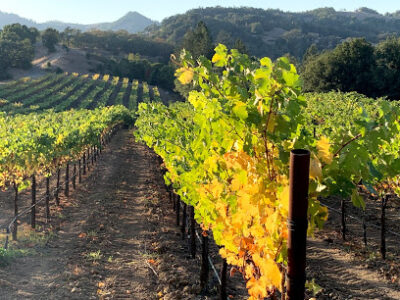 Warnecke Ranch & Vineyards