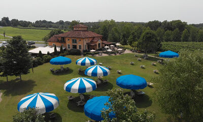 Blue Sky Vineyard