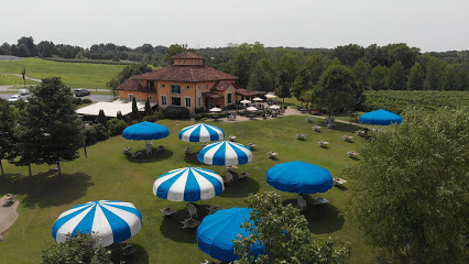 Blue Sky Vineyard