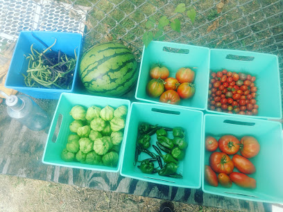 Sweet Tooth Farm