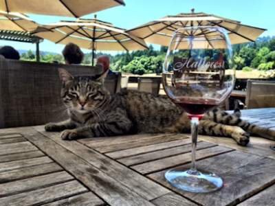 Hallcrest Vineyards