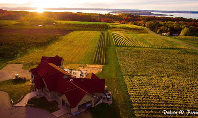 Bonobo Winery