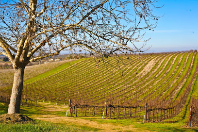 Penman Springs Vineyard