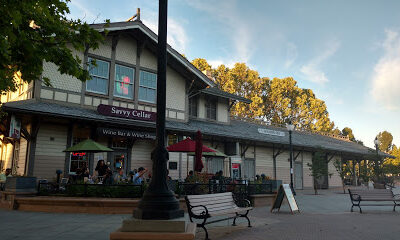 Savvy Cellar Wine Bar & Wine Shop