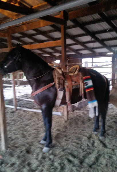 Montes Farm