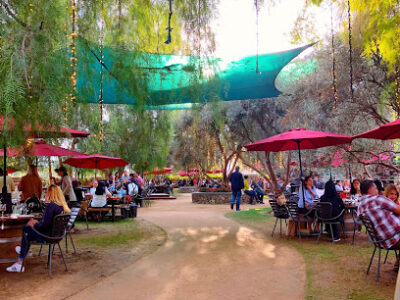 Malibu Wines & Beer Garden