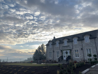Bjornson Vineyard
