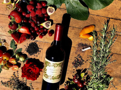 Vino Noceto Winery