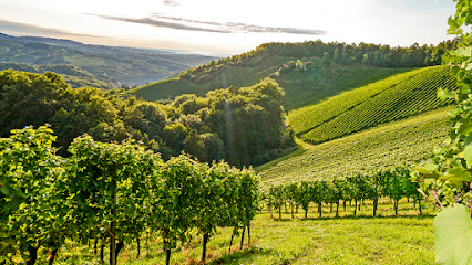Vineyard Blessings