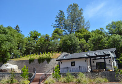 E16 Winery