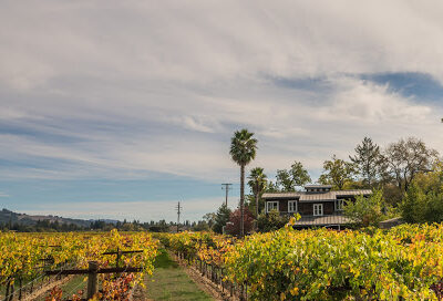 32 Winds Wine
