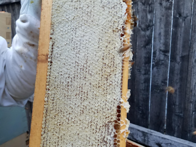 Sweet Bee Farm NH