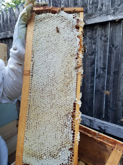Sweet Bee Farm NH