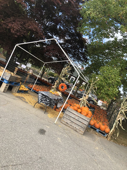 The Flying Carrot Farm (formerly Apponagansett Farm)