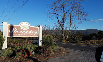 Shenandoah Vineyards
