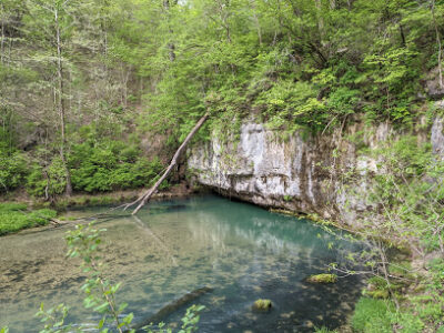 Ha Ha Tonka State Park