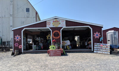Busy Bee's Farm Market