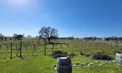 Sera Fina Cellars
