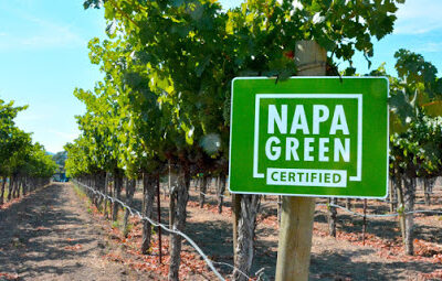 Napa Green