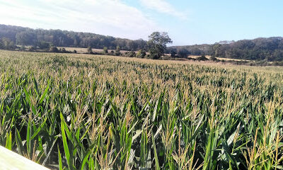 Preston Farms