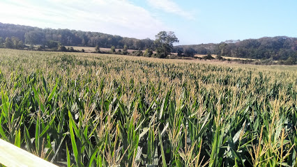 Preston Farms