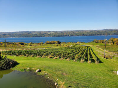 Chateau LaFayette Reneau