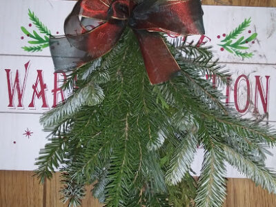 Apple Lane Orchard Christmas tree farm