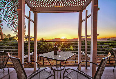 Chapin Family Vineyards