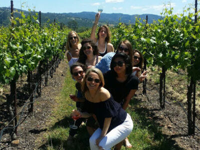 Terrific Tours
