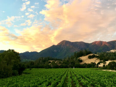 Grable Vineyards