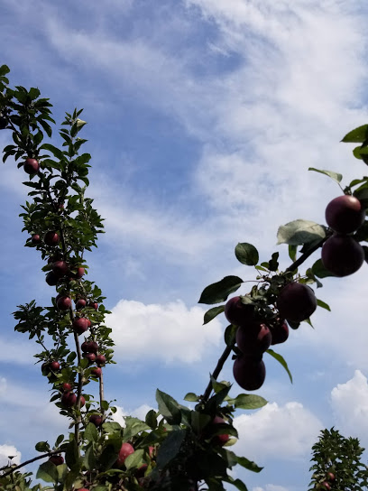 Annie's Orchard