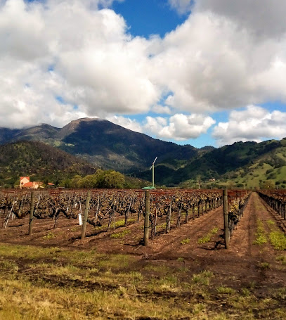 Towne Vineyards