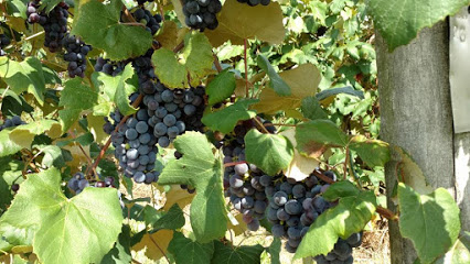 Emerita Vineyards LLC