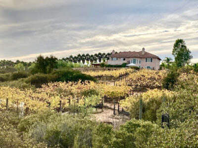 Sunrise Vineyards