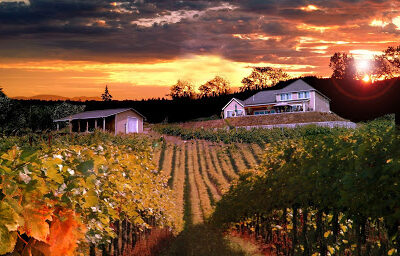 Skagit Crest Vineyard & Winery