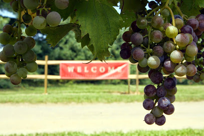 Bellview Winery