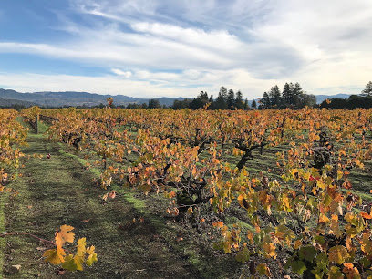 Chase Cellars