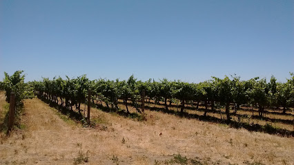 Claar Cellars