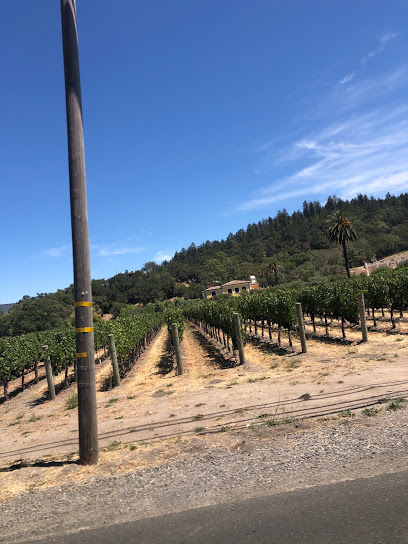 Ashe Vineyards