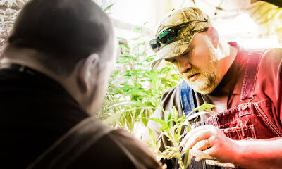 Top Cut Farms