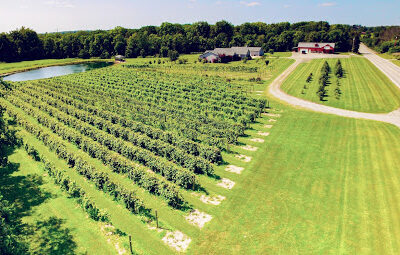 Bokes Creek Winery