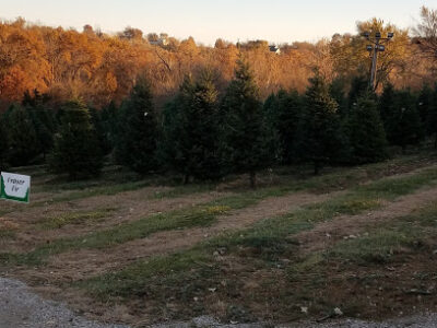 Bierman's Christmas Tree Farm