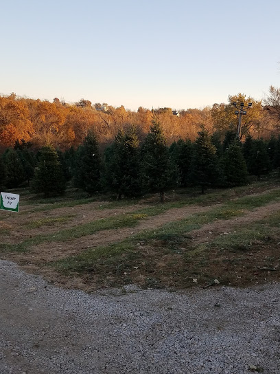 Bierman's Christmas Tree Farm
