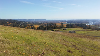 Tresori Vineyards