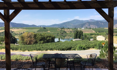 Tildio Winery